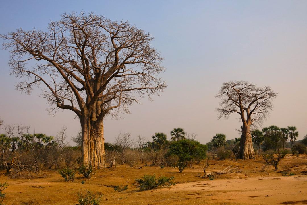 The Waterberg Biosphereimage - 1
