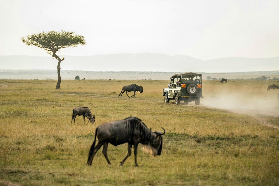 Masai Maraimage - 1