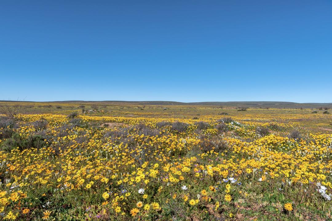 Matjiesfonteinimage - 1