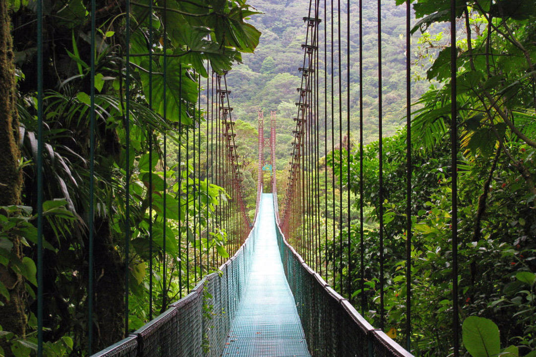 Monteverde Cloud Forest Reserveimage - 0