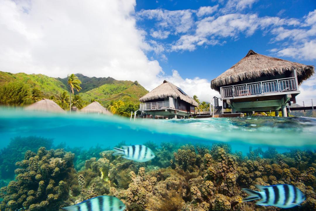 Raiateaimage - 0
