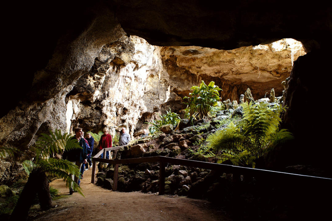 Naracoorteimage - 1