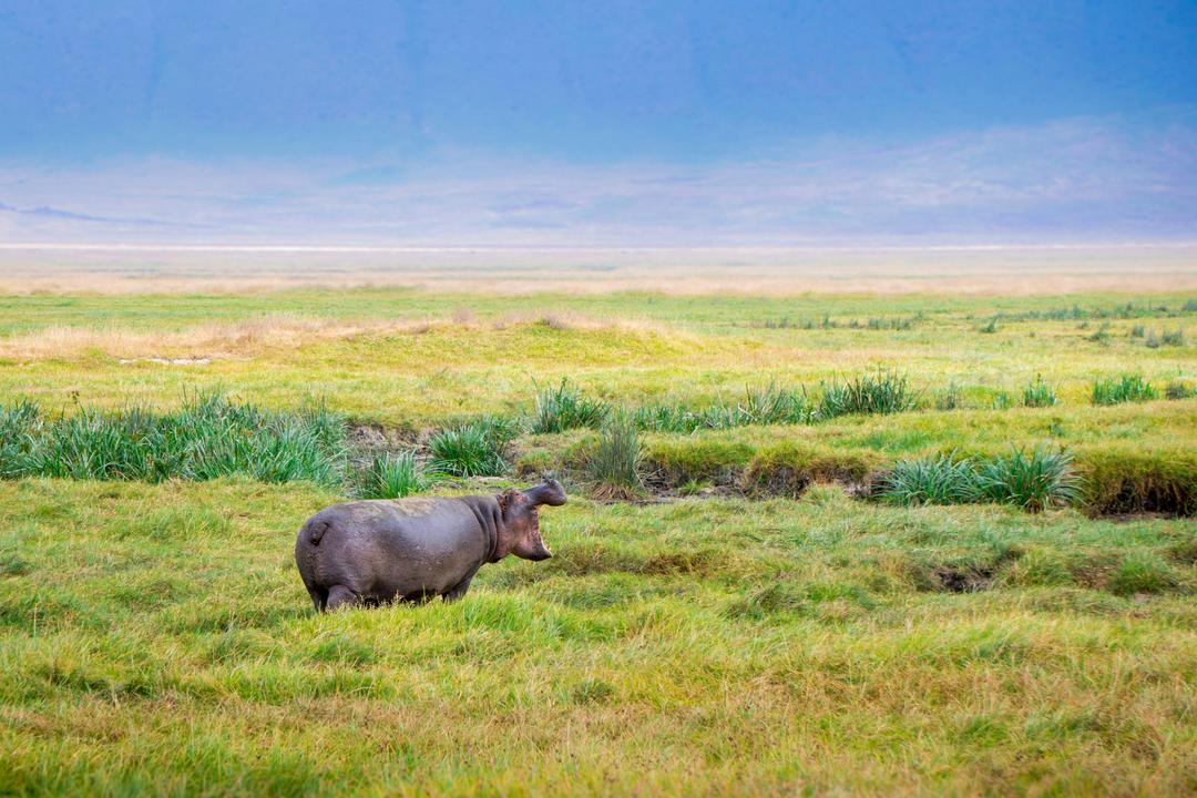 Ngorongoro Conservation Areaimage - 0