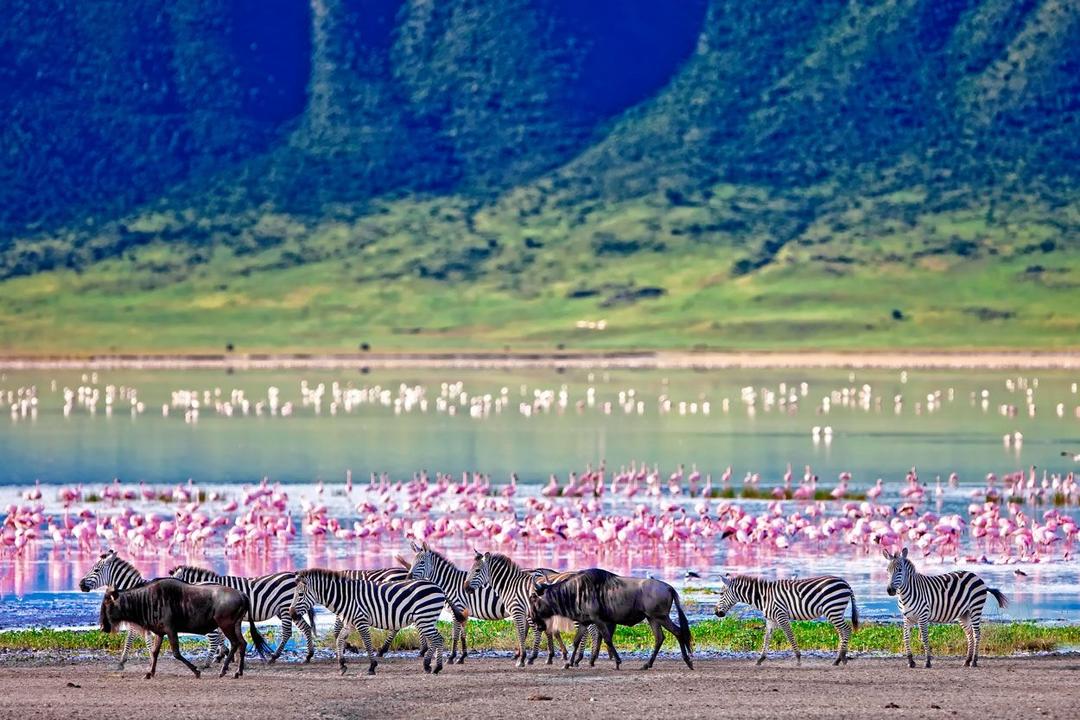 Ngorongoro Conservation Areaimage - 1