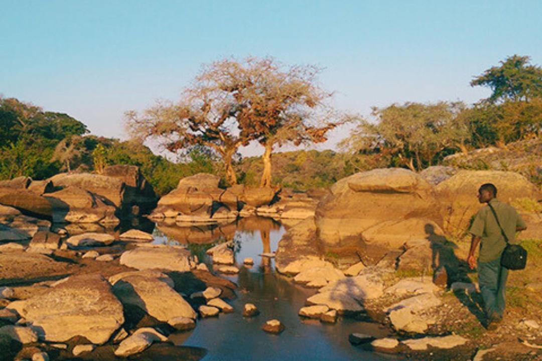 Nkhotakotaimage - 1