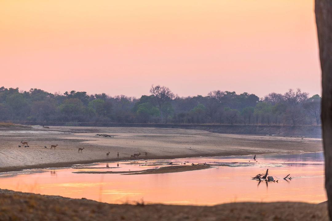 North Luangwa nationalparkimage - 1