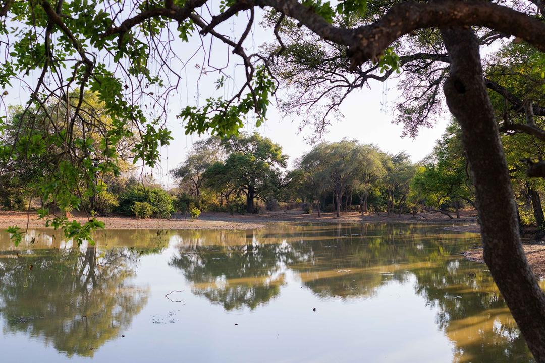 North Luangwa nationalparkimage - 1