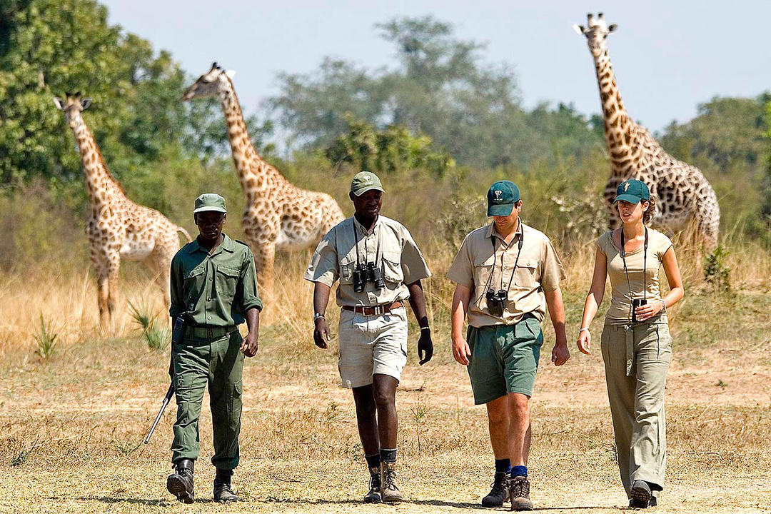 Tanzaniaimage - 1