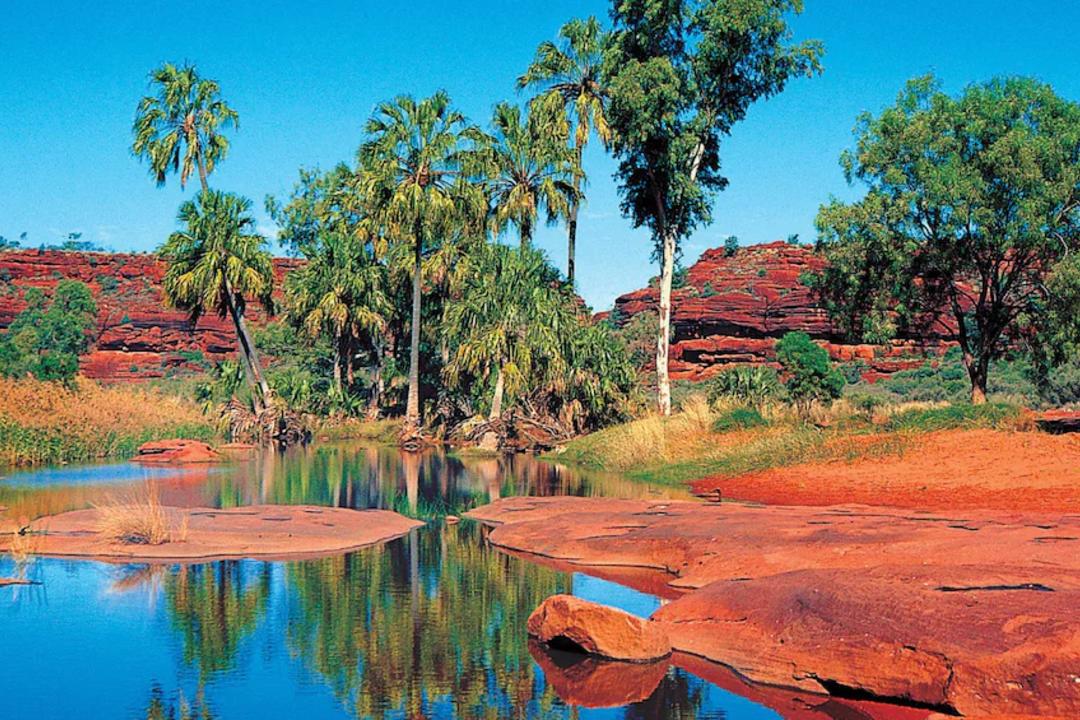 Heldag bushsafariimage - 0