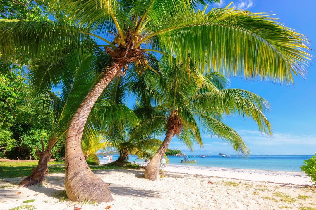 Praslin Islandimage - 0