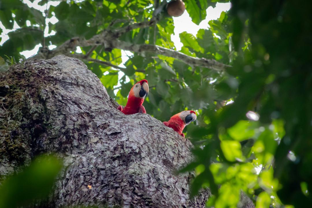 Puerto Maldonadoimage - 0