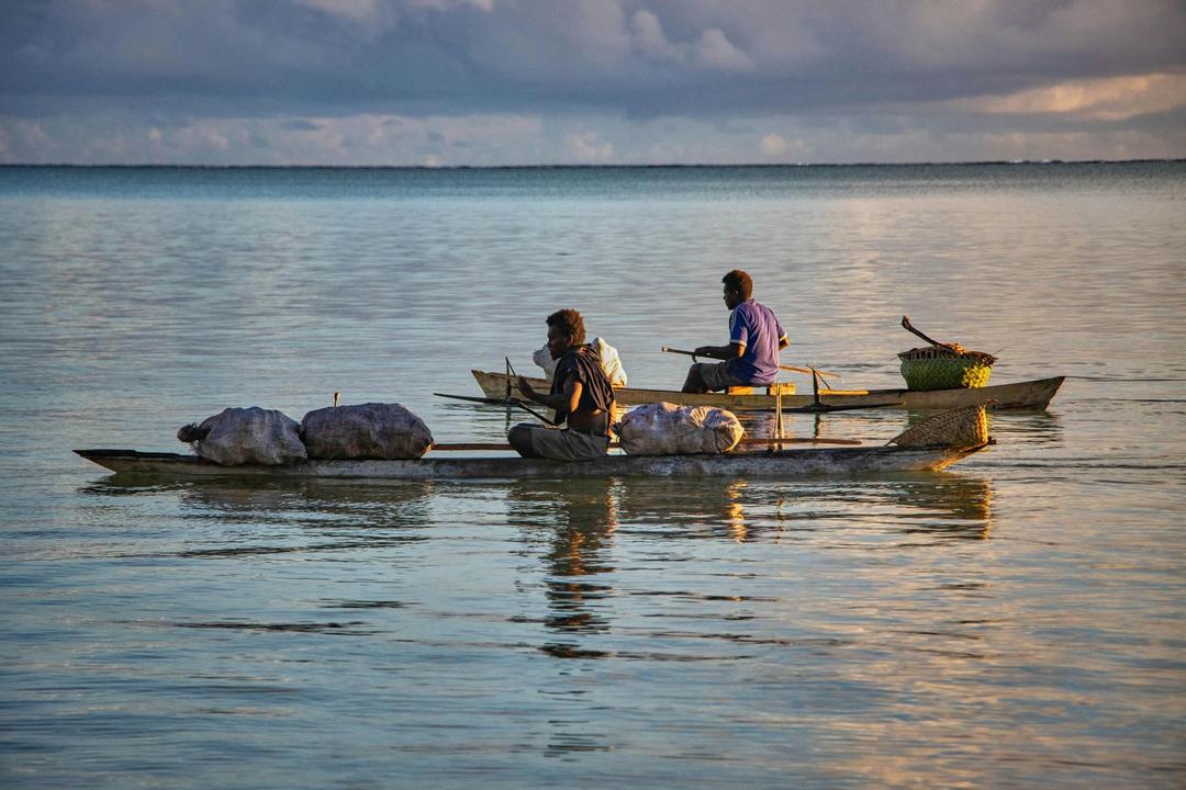 Kokopoimage - 1