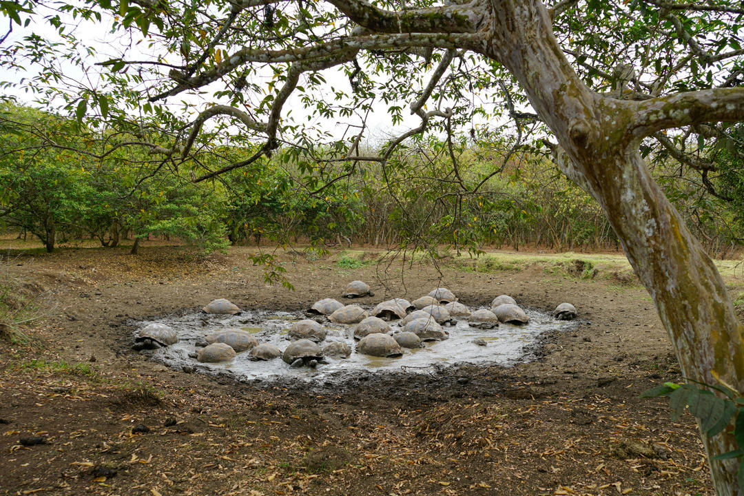 San Cristobal Islandimage - 0