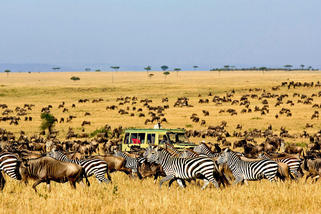 Serengeti National Parkimage - 0