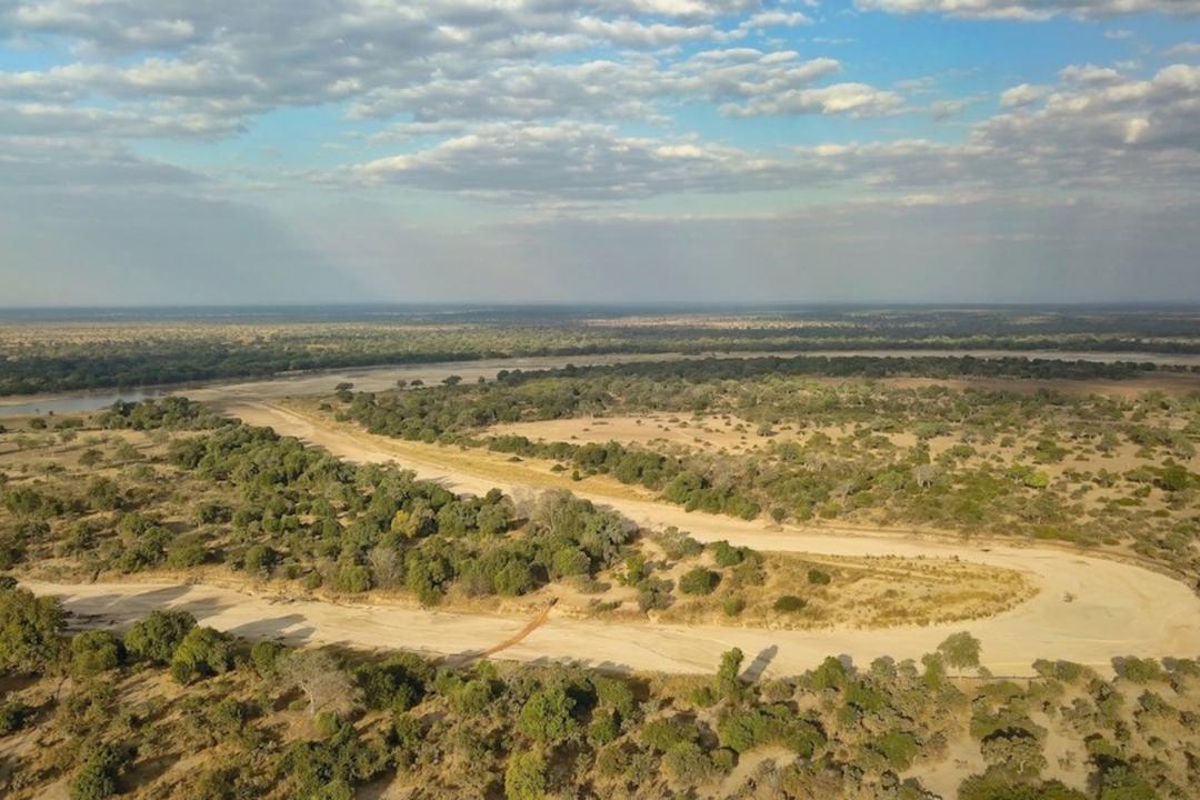 South Luangwa nationalparkimage - 0