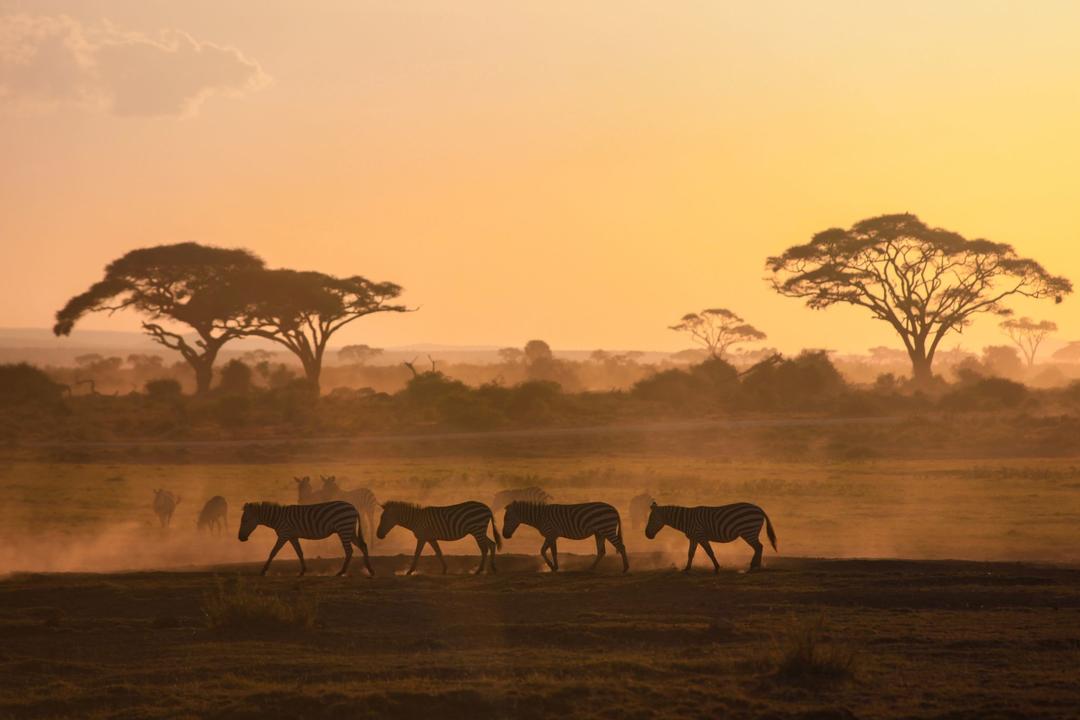 Taita Hills Wildlife Sanctuaryimage - 1