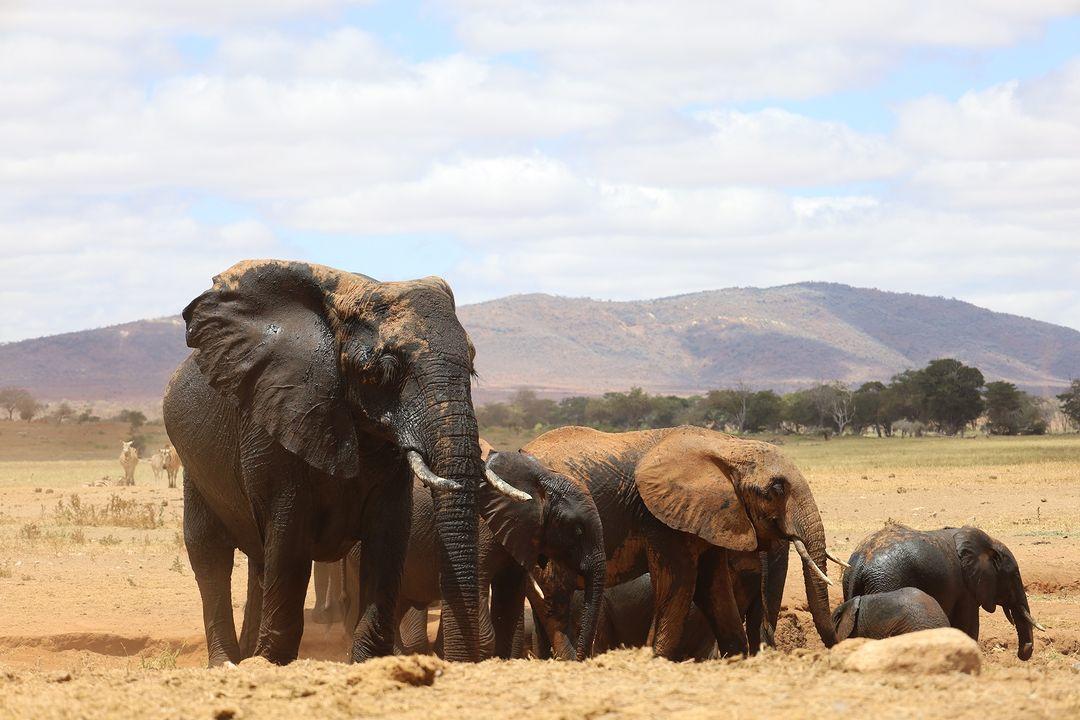 Taita Hills Wildlife Sanctuaryimage - 0