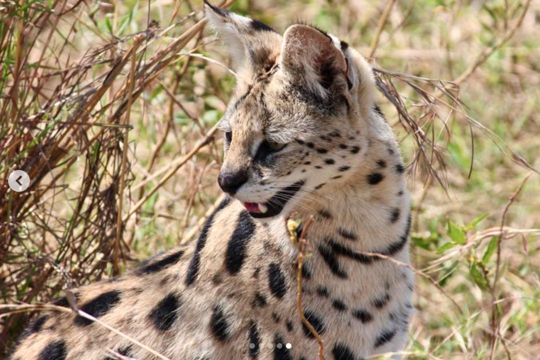 Taita Hills Wildlife Sanctuaryimage - 1