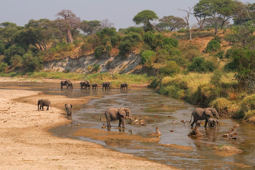 Tarangire National Parkimage - 1