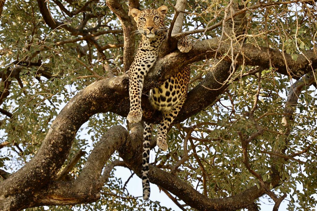 Lake Manyara National Parkimage - 0