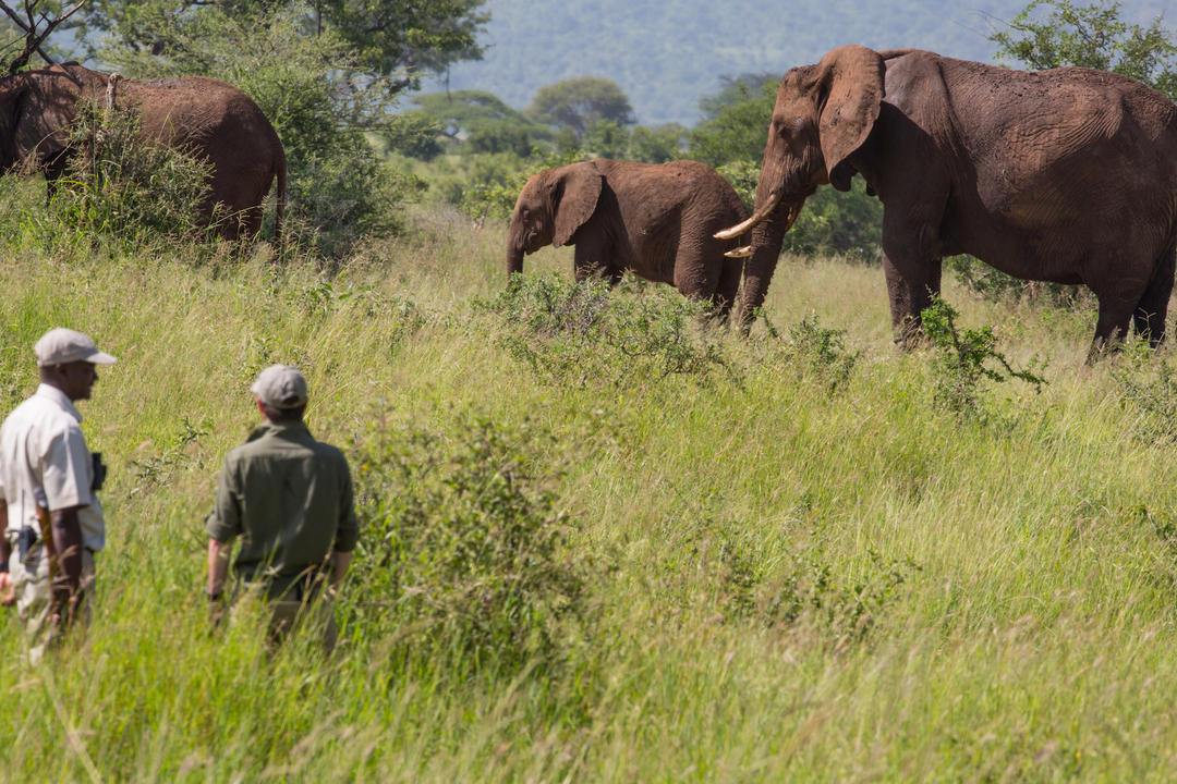 Lake Manyara National Parkimage - 1