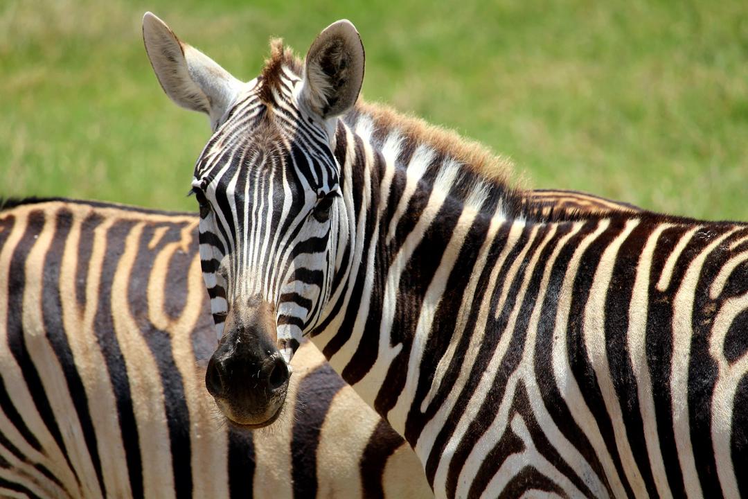 Tsavo West National Parkimage - 0