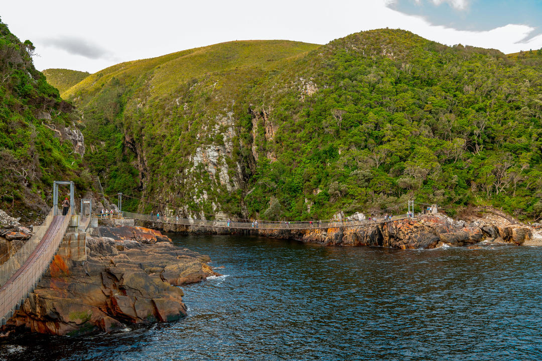 Knysnaimage - 1