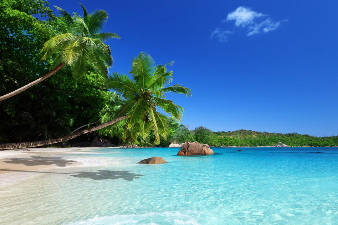 Viti Levu Coral Coastimage - 0