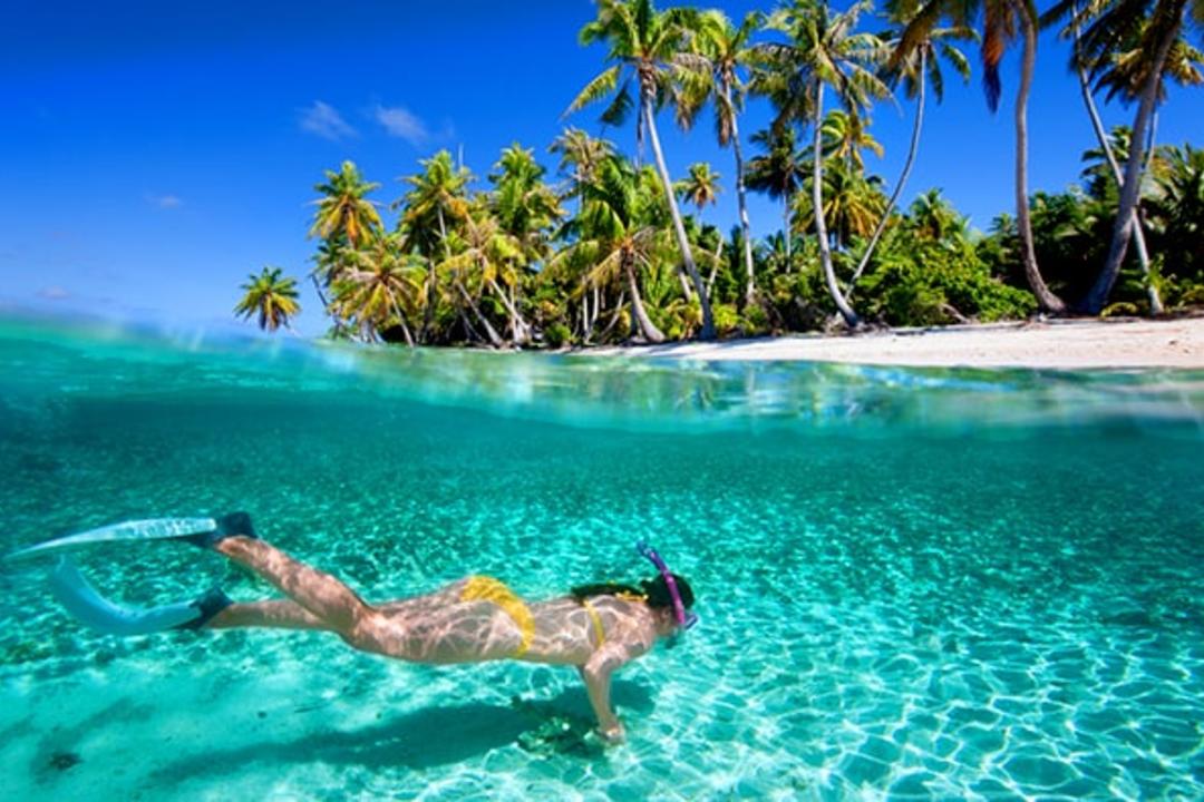 Viti Levu Coral Coastimage - 0
