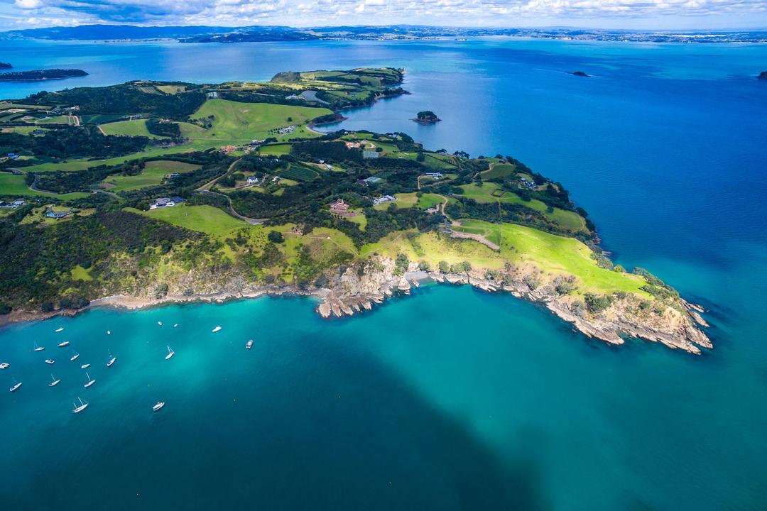 Waiheke smakresa bland vingårdarimage - 1