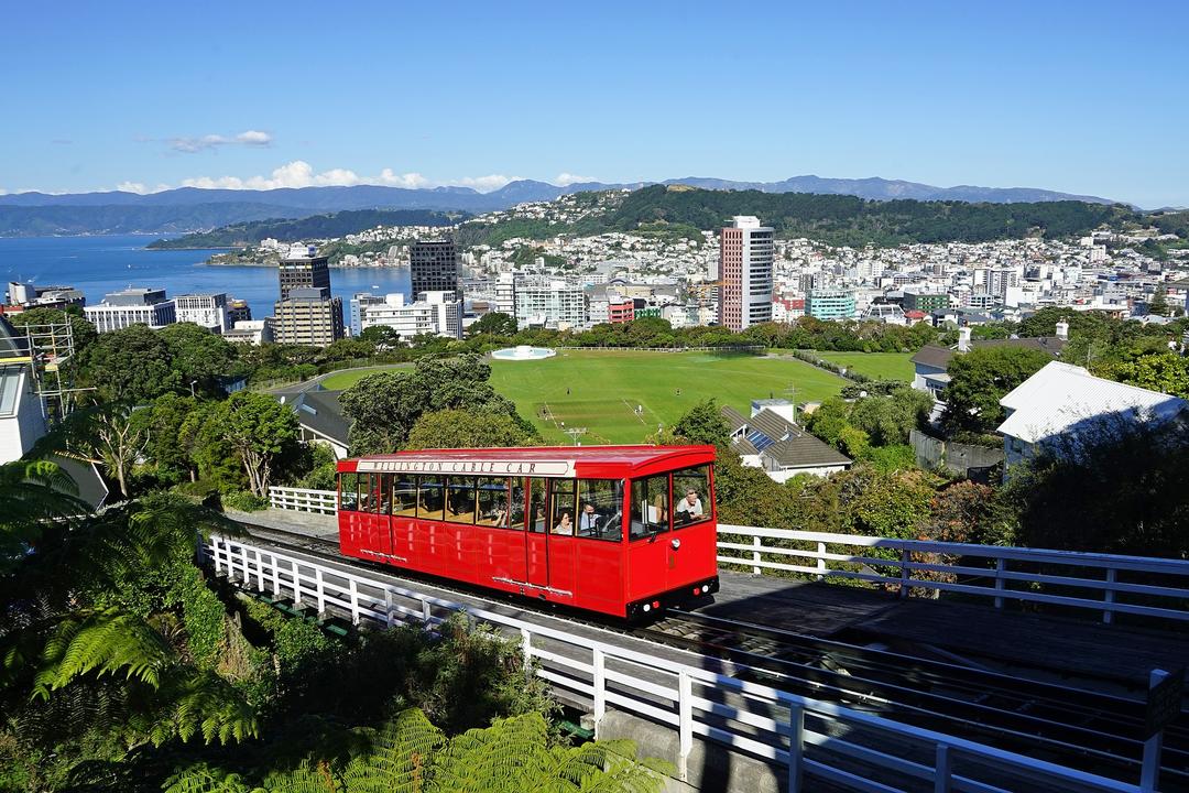 Wellingtonimage - 1