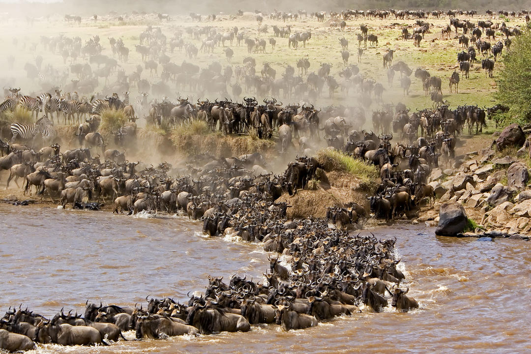 Masai Maraimage - 0