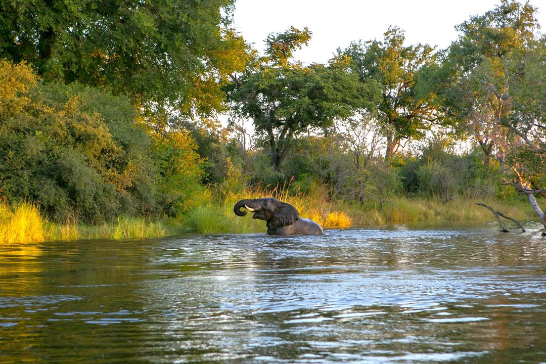 Zambezi Regionenimage - 1