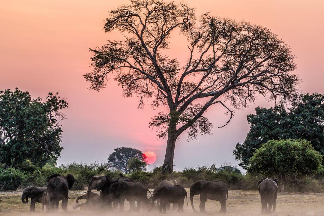 Zimbabweimage - 1