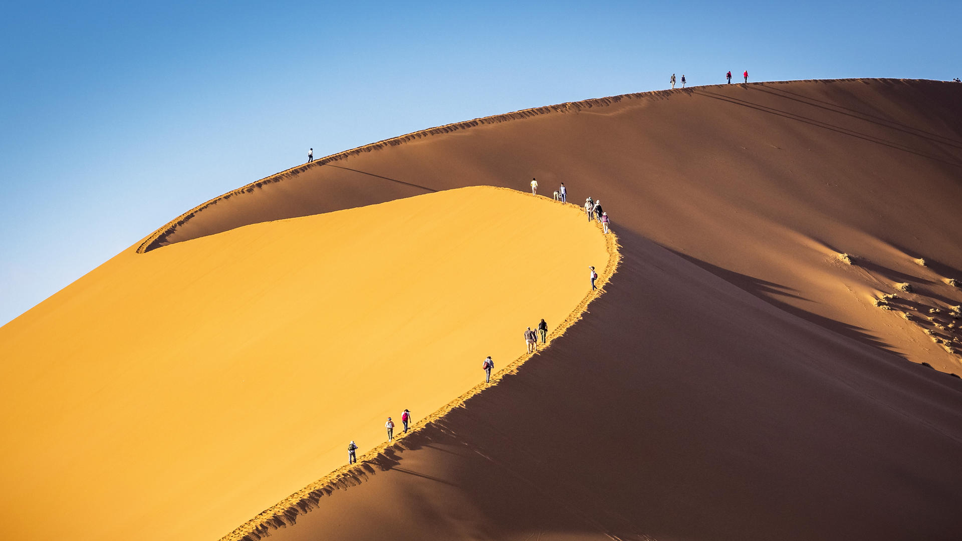 Namibia Tracks & Trails 2019 12 notti Namibia Tracks & Trails 2019 12 notti