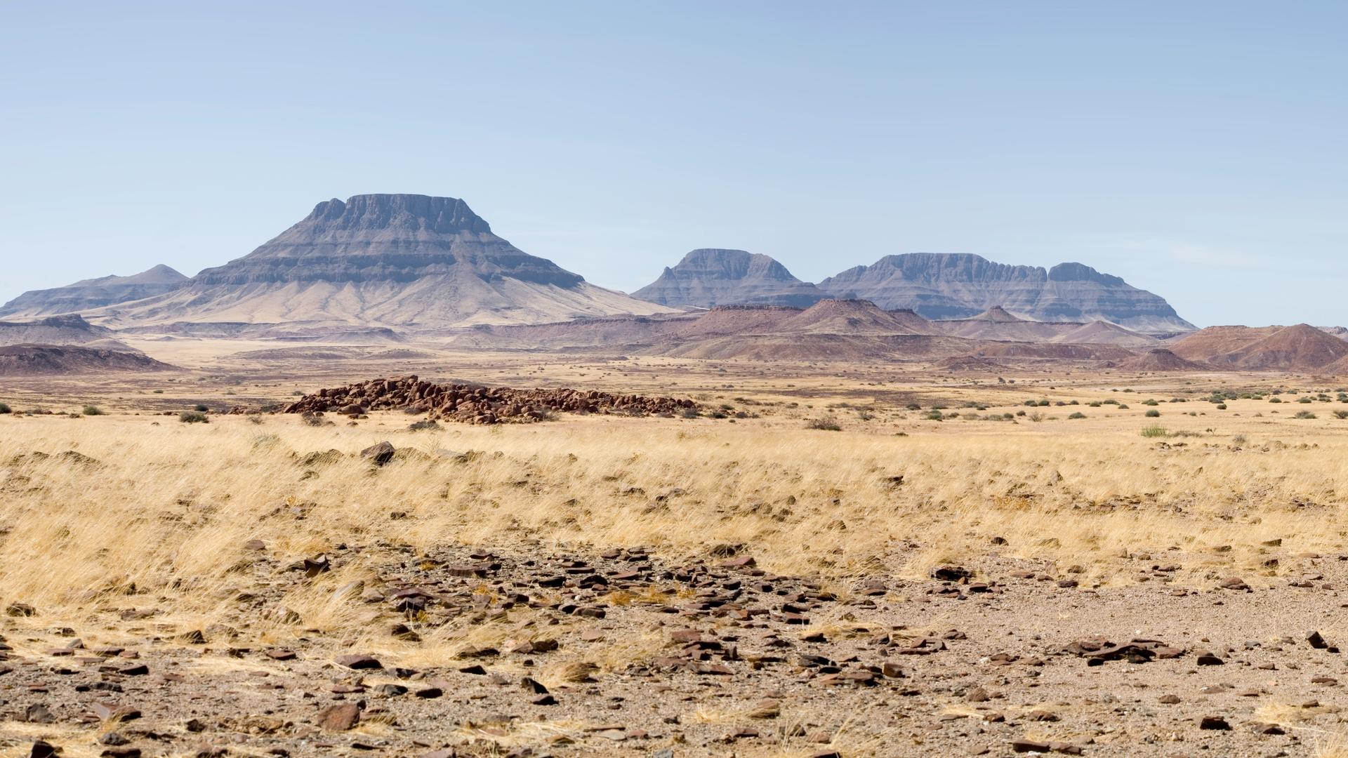 Namibia Tracks & Trails 2019 12 notti Namibia Tracks & Trails 2019 12 notti