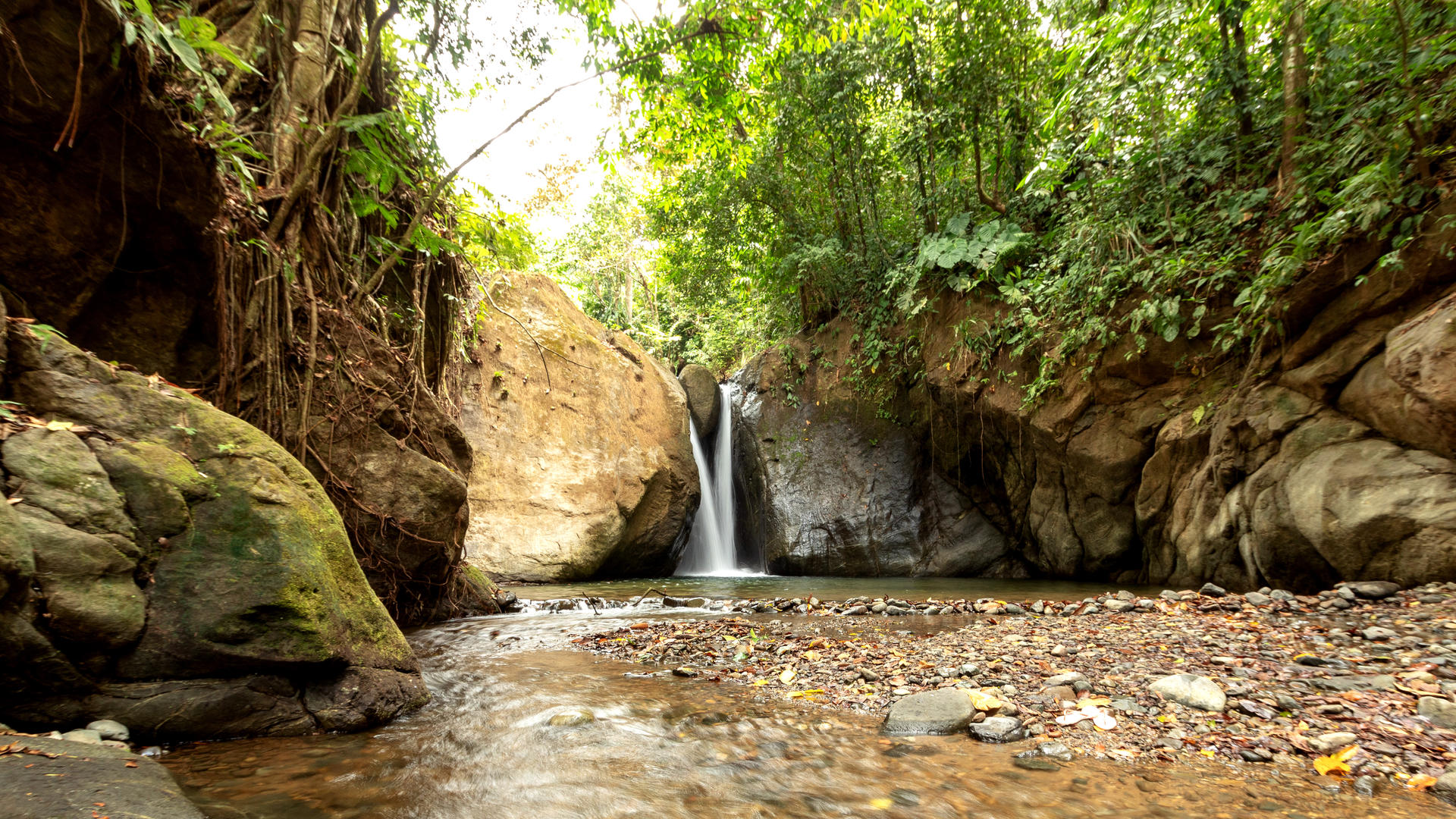 Hoogtepunten Van Costa Rica In 12 Dagen