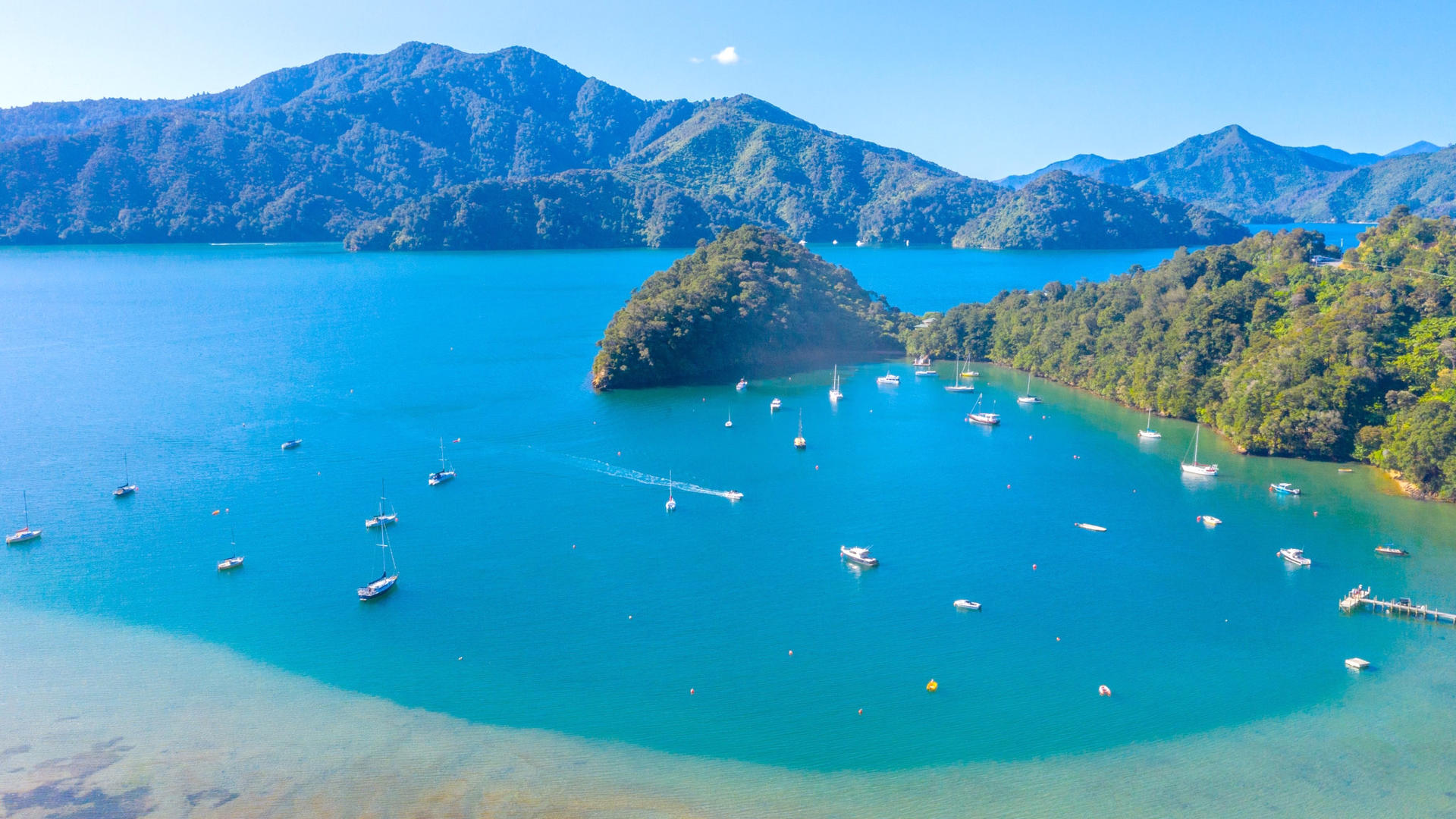 FASCINATION NEW ZEALANDSUPERIORCHCHAUK Great days