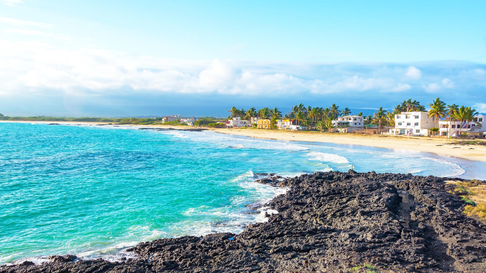 Galapagos Islands Wildlife & Cloud Forest 2024