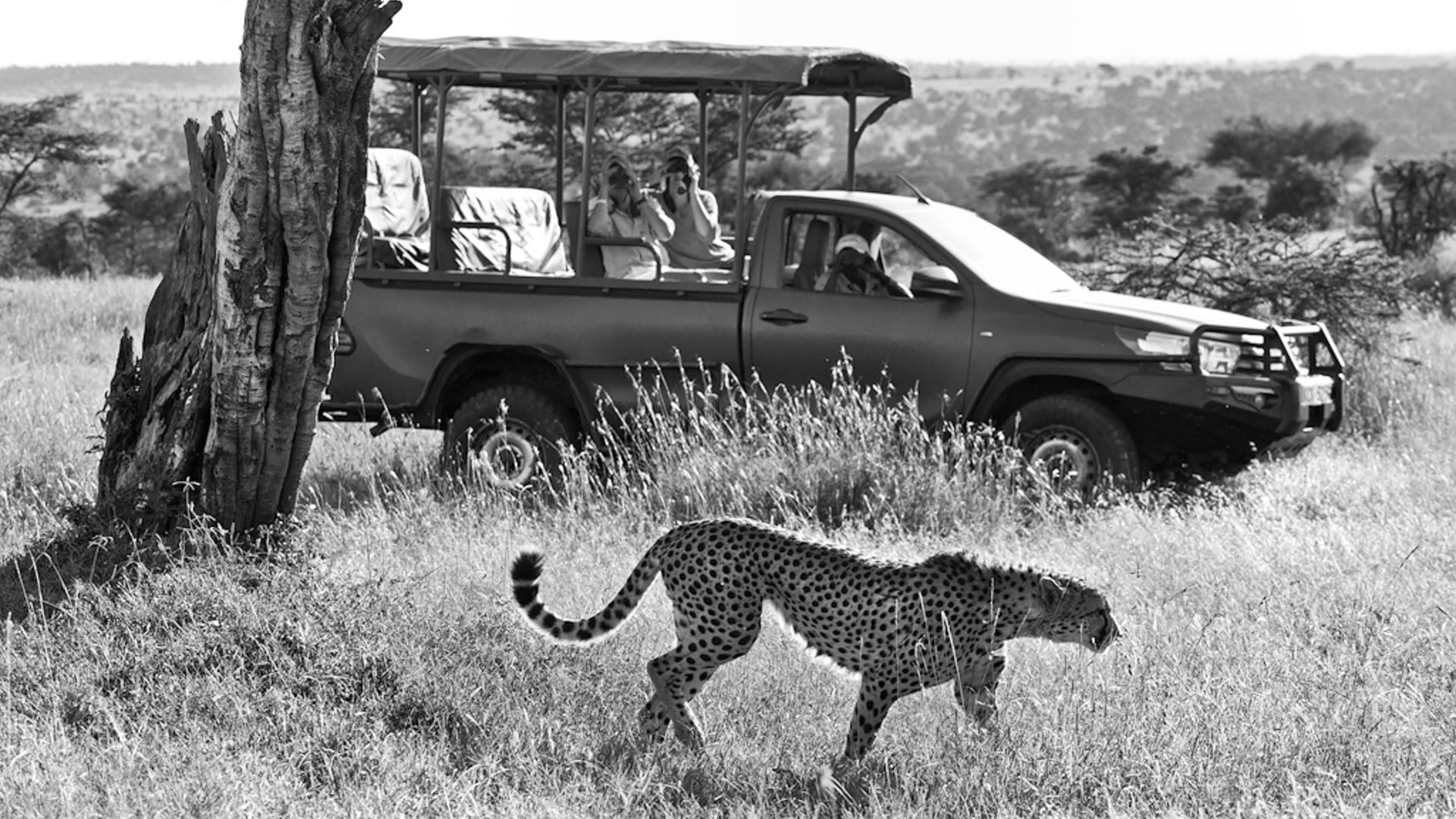 Ultimate Kenya Safari In 2021