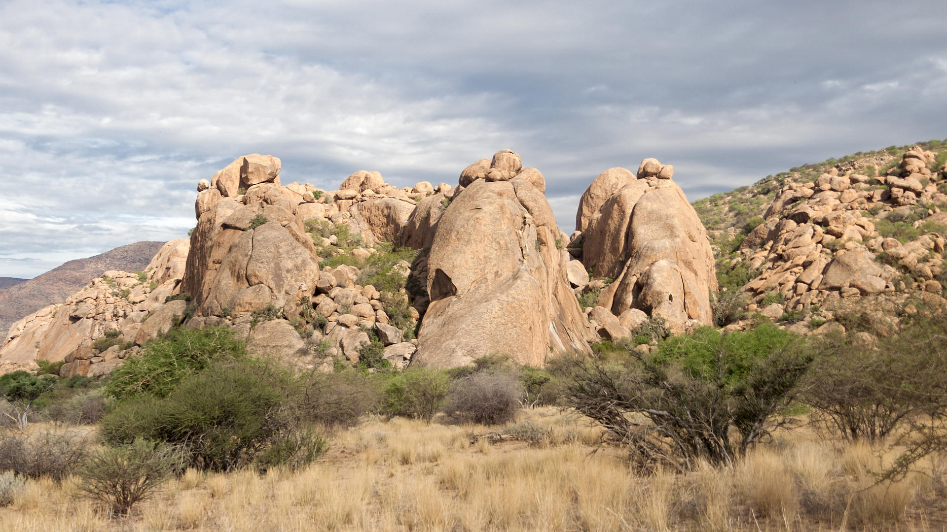Namibia Tracks & Trails 2019 12 notti Namibia Tracks & Trails 2019 12 notti