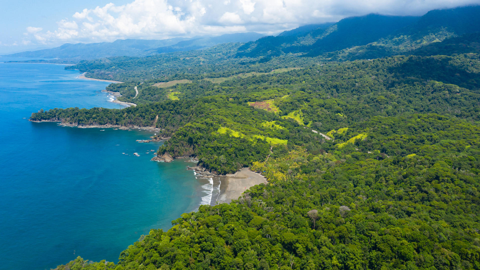 Costa Rica Epic Wildlife 2024 - COMBINE THE CARIBBEAN AND PACIFIC COASTS FOR THE MOST DIVERSE 