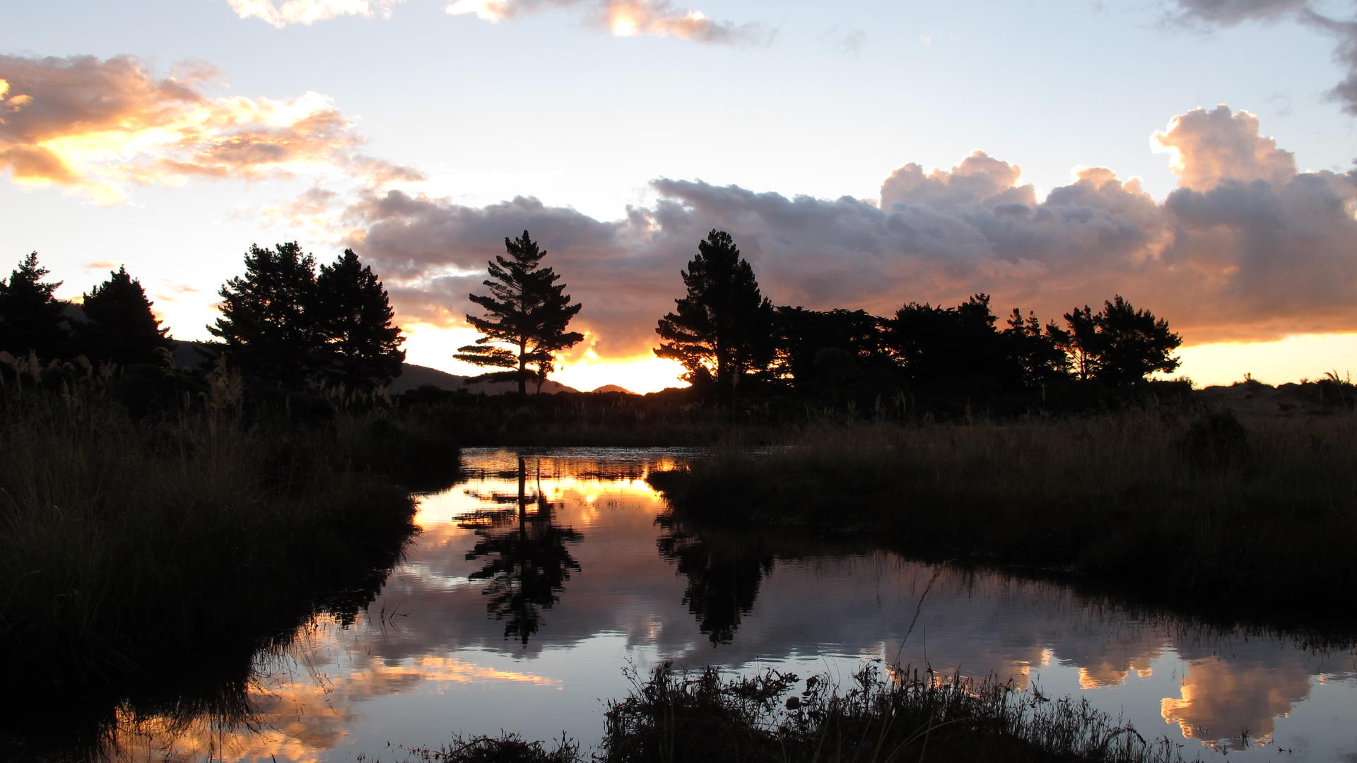 The Land and Sea Provides HeliSurfing, Spearfishing and Red Deer