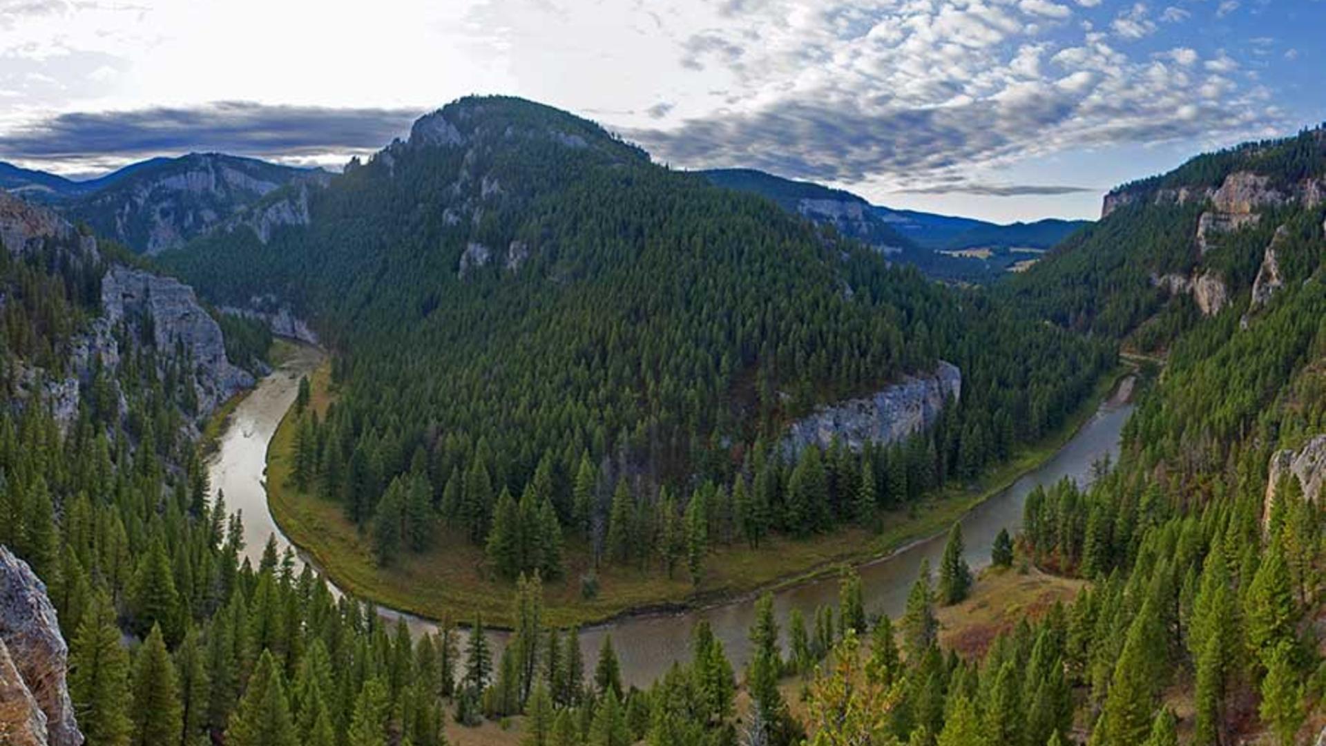 Montana Magic on the Smith River