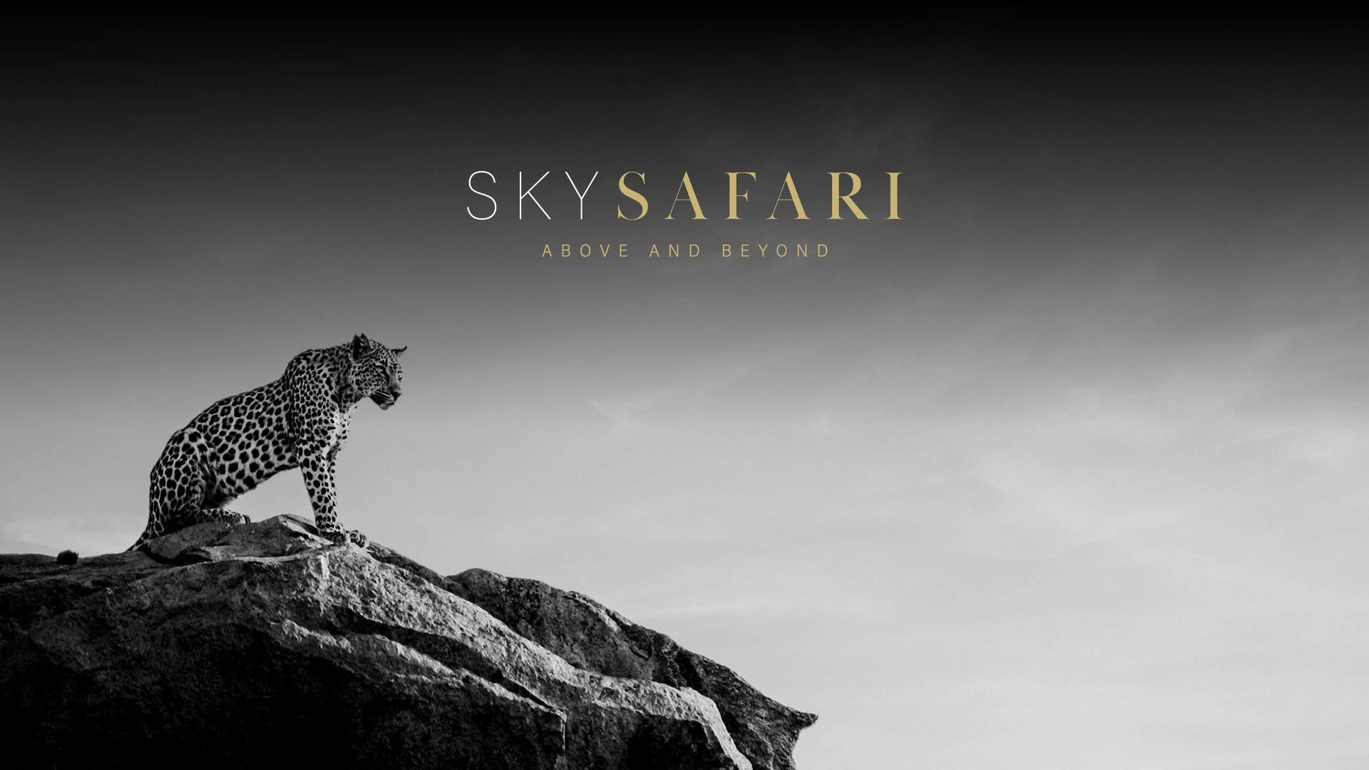 Travelzoo Member Offer Tanzania