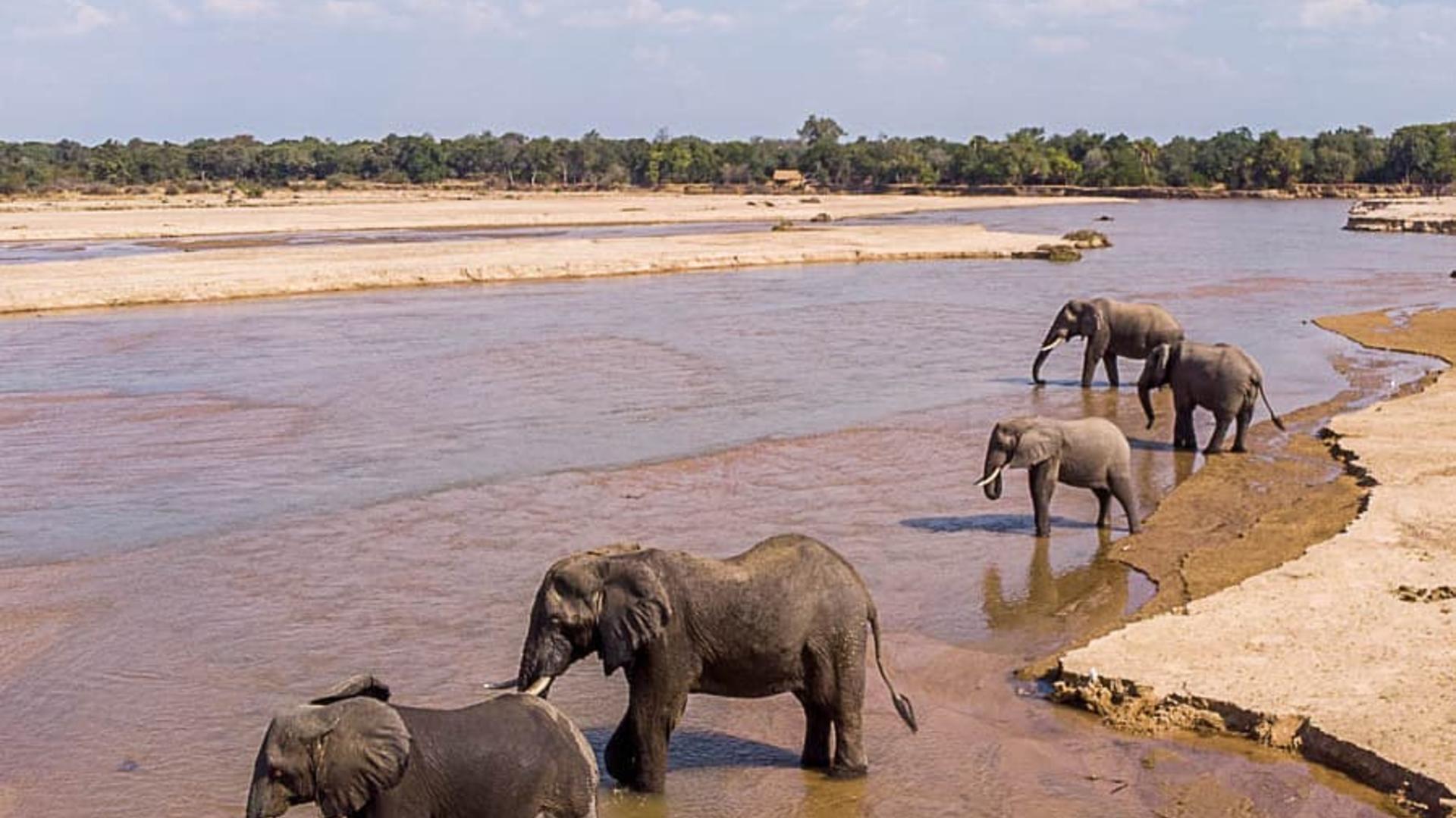 South & North Luangwa 2024 EXPERIENCE THE WHOLE LUANGWA VALLEY