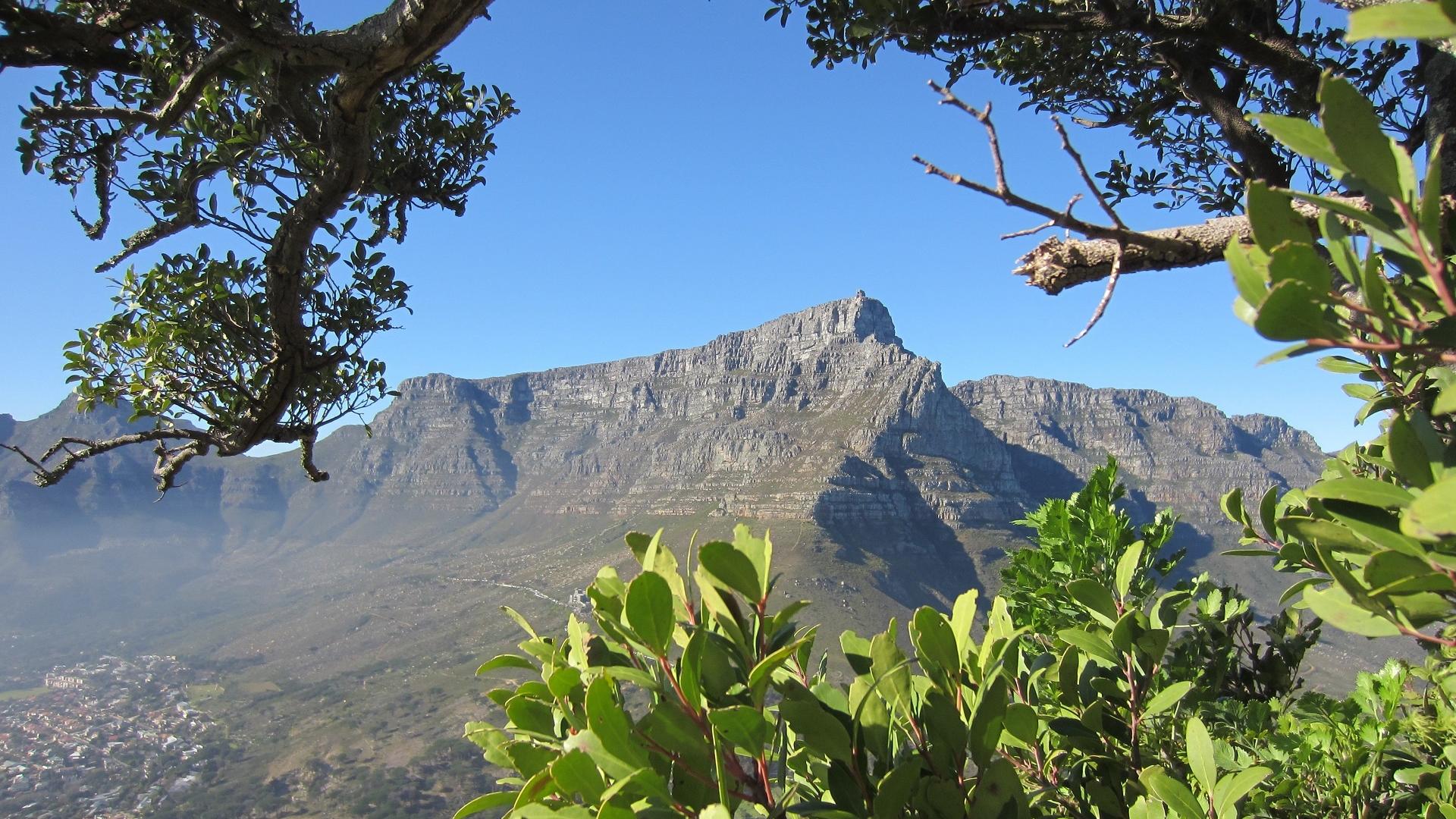 garden-route-safari