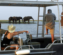 Game Viewing
