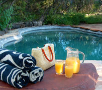 Plunge pool at Mashatu Tent Camp
