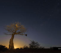 Moonlight silhouette